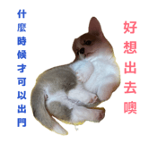 874816069