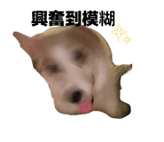 874816083