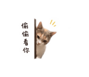 874816128