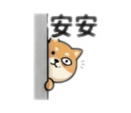 874816142