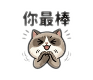874816156