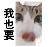 874816368