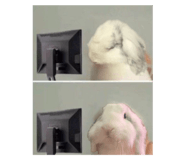 874817143