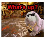 874817147