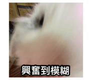 874817158