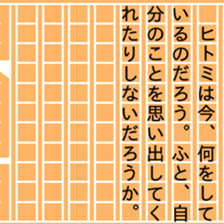 87481905