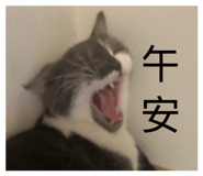 874826899