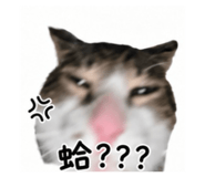 874829386