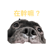 874847220