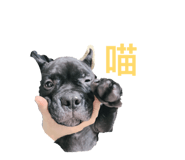 874847221