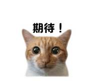 874857515