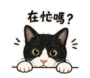 874859398