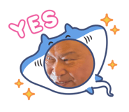 874866646