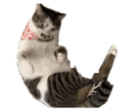 874891461