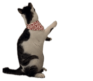 874891472