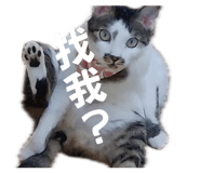 874891475