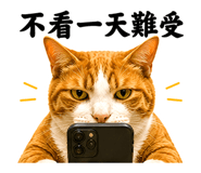 874898866
