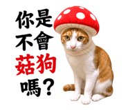 874899503