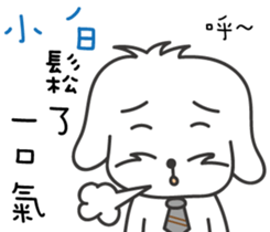 87491684