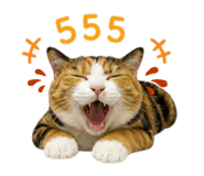 874920298