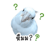 874994587