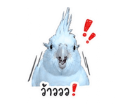 874994590