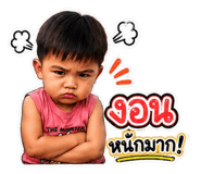 875025806