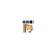 875037820
