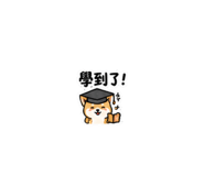 875037835