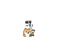 875037840