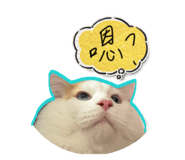 875037889