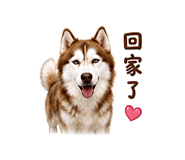 875038221