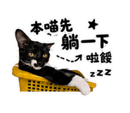 875038383