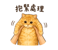 875038803