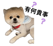 875038866