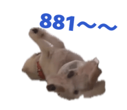 875038884