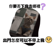 875038888