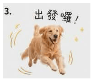 875039243