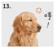 875039253