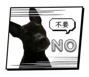 875039803