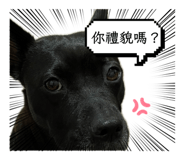 875039814