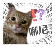 875040176