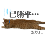875040180