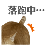 875040193