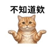 875040355