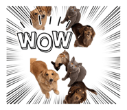 875040646