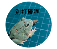 875076939