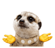 875078187