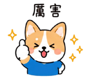 875079902