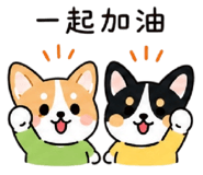 875079903